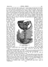 any goods on hand in their shops, everything had
to be ordered long before it was required ; and it
was always usual for the goldsmith and his customer
to adjourn together to the B ~ j e n Hole, an
ancient baker’s shop, the name of which has proved
a puzzle to local antiquarians, or to John’s Coffee
House, to adjust the order and payment, through
the medium of a dram or a stoup of mellow ale.
But, as time passed on, and the goldsmiths of
Edinburgh became more extensive in their views,
capital, and ambition,
the old booths in the
Parliament Close were
in quick succession
abandoned for ever.
The workshop of
George Heriot existed
in this neighbourhood
till the demolition of
Beth’s Wynd and the adjacent
buildings. There
were three contiguous
small shops, with projecting
wooden superstructures
above them,
that extended in a line,
between the door of the
old Tolbooth and that
of the 1,aigh Councilhouse.
They stood upon
the site of the entrancehall
of the present Signet
Library, and the central
of these three shops was
the booth of the immortal
George Heriot,
the founder of the great
hospital, the goldsmith
to King James VI.-the
good-humoured, honest,
Humble though this booth, after the execution
of “the bonnie Earl of Gowrie,” when the extravagance
of Anne of Denmark-a devoted patron
of George Heriot -rendered the king’s private
exchequer somewhat impaired, he was not above
paying visits to some of the wealthier citizens in
the Lawnmarket or Parliament Square, and, among.
others, to the royal goldsmith. The latter being.
bred to his father’s business, to which in that age
was usually added the occupation of a banker, was
GEORGE HERIOT’S DRINKING CUP.
(De-d Sy himsew)
and generous “Jingling Geordie” of the ‘‘ Fortunes
of Nigel.”
It measured only seven feet square ! The back
windows looked into Beth’s Wynd ; and, to show
the value of local tradition, it long appeared that
this booth belonged 10 George Heriot, and it became
a confirmed fact when, on the demolition of
the latter place, his name was found carved above
the door, on the stone lintel. His forge and
bellows, as well as a stone crucible and lid, were
also found on clearing away the ruins, and are now
carefully preserved in the museum of the hospital,
to which they were presented by the late Mr.
Robertson, of the Commercial Bank, a grateful
‘‘ Auld Herioter.”
admitted a member of
the Incorporation of
Goldsniiths on the 28th
May, 1588. In 1597 he
was appointed goldsmith
to Queen Anne, and
soon after to the king.
Several of the accounts
for jewels furnished by
him to the queen are
inserted in Constable’s
“ Life of Heriot,” published
in 1822.
It is related that one
day he had been sent
for by the king, whom
he found seated in one
of the rooms at Holyrood,
before a fire composed
of cedar, or some
other perfumed wood,
which cast a pleasant
fragrance around, and
the king mentioned incidentally
that it was
quite as costly as it
was agreeable, “ If your
majesty will visit me at
my booth in the Parliament
Close,” quoth
Heriot, “I will show you a fire more costly than
that.” ‘‘ Say you so ! ” said the king ; ‘‘ then I
will.”
On doing so, he was surprised to find that Heriot
had only a coal fire of the usual kind.
“Is this, then, your costly fire?” asked the
king.
“ Wait, your highness, till I get my fuel,” replied
Heriot, who from an old cabinet or almrie took a
bond for Az,ooo which he had lent to James, and,
laying it on the fire, he asked, laughingly, “Now,
whether is your majesty’s fire in Holyrood or
mine the most costly ?”
“ Certainly yours, Master Heriot ! ” replied the
king.