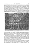 The Great Fire.] THE GREAT FIRE. 189
Assemlily Close, then occupied as a workshop by
Kirkwood, a well-known engraver. The engines
came promptly enough ; but, from some unknown
cause, an hour elapsed before they were in working
order, and by that time the terrible element had
raged with such fierceness and rapidity that, by
eleven o'clock the upper portion of this tenement,
including six storeys, forming the eastern 'division
of a uniform pile of buildings, was one mass of
roaring flames, which, as the breeze was from the
to their elevated position, or the roar of the gathering
conflagration, the shouts of the crowd, and
wailing of women and children, their cries were
unheard for a time, until it was too late. The
whole tenement was lost, together with extensive
ranges of buildings in the old Fish Market and
Assembly Closes, to -which it was the means of
communicating the flames.
While these tall and stately edifices were yielding
to destruction, the night grew calm and still, and
THE ROYAL EXCHANGE.
sooth-west, turned them, as they burst from the
gaping windows, in the direction of a house to the
eastward, the strong' gable of which saved it from
the destruction which seemed imminent.
Two tenements to the westward were less fortunate,
and as, from the narrowness of the ancient
close, it was impossible to work the engines, they
soon were involved in one frightful and appalling
blaze. Great fears mere now entertained for the
venerable Courant office; nor was it long before
the fire seized on its upper storey, at the very time
when some brave fellows got upon the roof of a
tenement to the westward, and shouted to the firemen
to give them a pipe, by which they could
piay upon the adjoining roof, But, owing either
I the sparks emitted by the flames shot upwards as if
spouted from a volcano, and descended like the
thickest drift or snow-storm, affecting the respiration
of all. A dusky, lurid red tinged the clouds,
and the glare shone on the Castle wdls, the
rocks of the Calton, the beetling crags, and all the
city spires. Scores of lofty chimneys, set on fire
by the falling sparks, added to the growing horror
of the scene ; and for a considerable time the Tron
Church was completely enveloped in this perilous
shower of embers.
About one in the morning of the 16th the alarm
of fire was given from a house directly oppoife to
the burning masses, and, though groundless, it
added to the deepening Consternation. Mean