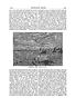 J0ppa.l BRUNSTANE HOUSE. I49
side of the streets when the cavalcade was to pass,
and through this flesh and blood corpus (sic), as it
were, all the mind of the city followed, in longdrawn
procession half a mile in length, The
Stone Mason of Cromarfy.’ The whole thing was
national, as distinct from popular. To make the
day complete, Nature herself spread over it the
robe of innocency, but, as it were, of dabbled
innocency, snow and thaw together, You saw, of
course, the result of the post-mortem examination,
which showed a brain past responsibility-a temble
example of what mental work caused, even to such
a physical giant as Hugh Miller. The last time I
incredible number of volumes that threw light on
Scottish archzeology, but kindly rendered invaluable
assistance to other workers in the same useful field.
Joppa, a modern village, the name of which does
not appear in Kincaid’s “Gazetteer of Midlothian ”
in 1787’ or his map of 1794, is now incorporated
with Portobello on the east, and a mineral well once
gave it importance to invalids. Near it are salt
works, well known as Joppa Pans. Robert Jamieson,
Professor of Natural History in the University
of Edinburgh, to the chair of which he was a p
pointed in 1804, was long resident in this place, and
he is referred to in the famous “Chaldee MS.”as dia
PORTOBELLO, 1838. iAflcr W. 8. &oft.)
saw him I felt suspicious that his mind was shaken,
for tottering nervousness in so vast a form (for he
really looked quite colossal) seemed more than
ordinary mauziaise honte, and he complained much
of his broken health” (ciLife and Letters of
Sydney Dobell.”) As has been mentioned in a
previous chapter, he was buried in the Grange
cemetery.
In No. 12, James Street, Portobello, the eminent
antiquary, David Laing, LL.D., who for forty years
acted as librarian to the Signet Library, closed his
long, laborious, and blameless life on the 18th of
October, 1878, in his eighty-sixth year. He formed
oneof the last surviving links between our own
time and literary coteries of sixty years ago. We
have elsewhere referred to him, and to that career
in which he not only edited personally an almost
He was born in Cromarty in 1802.
wise man which had come out of Joppa, where the
ships are ; one that had sojourned in far countries,”
Brunstane Bum, which flows into the Firth at
Magdalene Bridge, forms a kind of boundary in this
quarter, and the bridge takes its name from an
ancient chapel, dedicated to W. Mary Magdalene,
which once stood in the ground of New Hailes,
and which was a subordinate chaplaincy of the
church of St. Michael, at Inveresk, and, with others,
was granted by James VI. to his Chancellor, Lord
Thirlstane, progenitor of the Earls of Lauderdale.
Before quitting this quarter it is impossible to
omit a reference to the great quadrangular oldfashioned
manor-house of Brunstane, which was
sometimes of old called Gilbertoun, and which is
approached by a massive little picturesque bridge,
of such vast antiquity that it is supposed to be