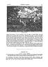 A ,
k i t h Walk.] JOHNNIE WILKES”
himself in her bedroom, “with the intention of
carrying off a sum of money after she fell asleep.
But the noise of opening her desk awoke her; he,
for fear of detection, seized a knife which by accident
lay there, and mangled her throat so dreadfully
that she died next day. He then leaped from
a window of the second storey, but fractured one of
his legs so much in the fall that he was unable to
walk, and sustained himself for several days, eating
peas and turnips, until his hiding-place was discovered
He afterwards graced the gibbet in Leith
Walk, where his body hung for many a long year.”
In more than one instance on the King‘s birth-
BRWNSTME HOUSE.
day the effigy of Johnnie Wilkes,” that noted
demagogue, Lord Mayor of London and English
M.P., who made himself so obnoxious to the Scots,
figured at the Gallow Lee. The custom, still prevalent
in many parts of the country, and so dear to
the Scottish schoolboy, of destroying his effigy
with every indignity on the royal birthday, is first
mentioned, we believe, in ‘‘ Annals of the Reign of
George 111.f 1770.
But when only fields and green coppice lay between
the city and the seaport, the gibbet at the Gallow
Lee, with its ghastlyadditions,must have formed
a gloomy object amid the smiling urban landscape.
IN the beginning of the present century fields
and nursery grounds chiefly bordered Leith Walk,
CHAPTER XVI.
LEITH WALK (concZdd).
respectively Trotteis, Jollie’s, Ronaldson’s, and
King‘s Buildings-had been erected, with long open